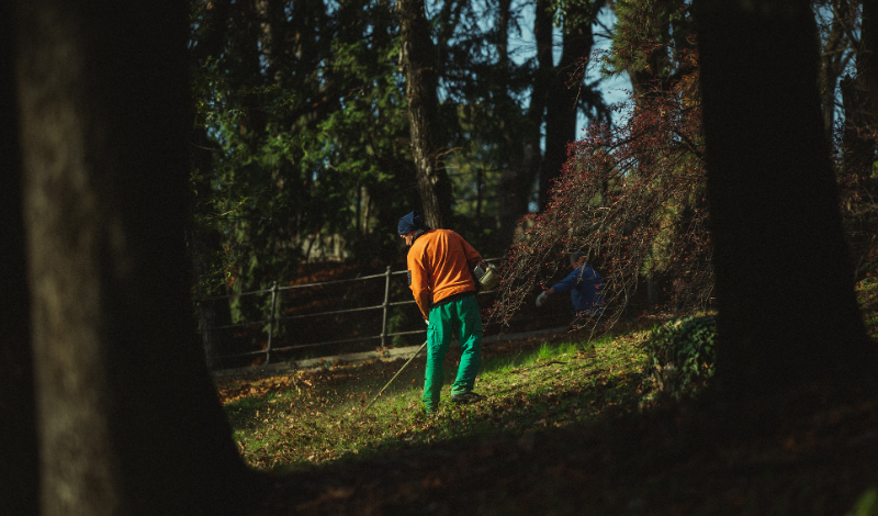 Mowing Trailer blog image